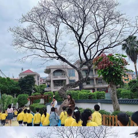 “🌈参观小学初体验 幼小衔接促成长”——启蒙幼儿园参观小学活动