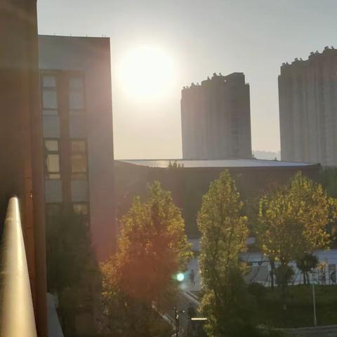 【金小•活动】晨起弄朝露，书香飘金小            —— 金鸡湖路小学三年级早读习惯养成记