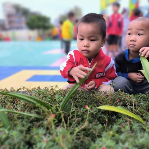 🌈 一起玩🐾一起笑🥰 一起闹🥳一起长大🎈 最美的童‍年时光（副本）