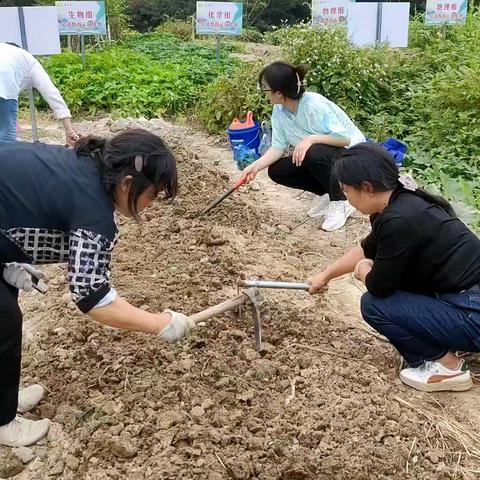 初秋的爱在深秋延续