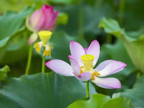 2025年7月工作简报