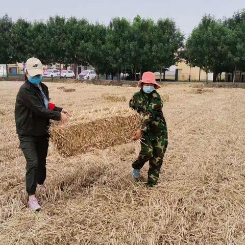 王勿桥乡 副乡长：李蒙浩同志带领新丰村党员干部为贫困户：张贵香清运麦田秸秆。