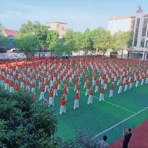 市老体协开展全市“全民健身幸福乐平”全国第15个全民健身日大型健身运动系列展演活动   清雅居士