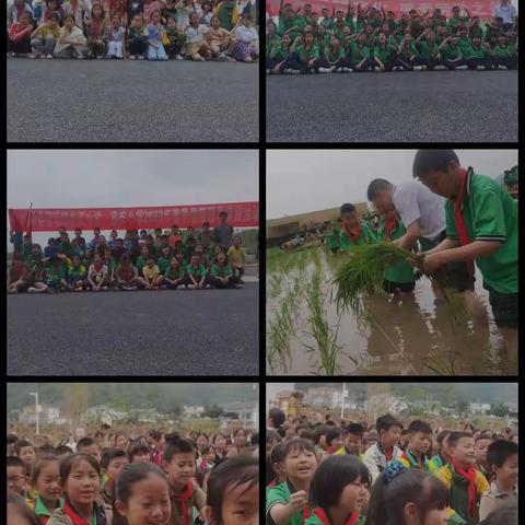 蒲场镇长征小学开展“劳动励心智，实践获真知”劳动实践活动
