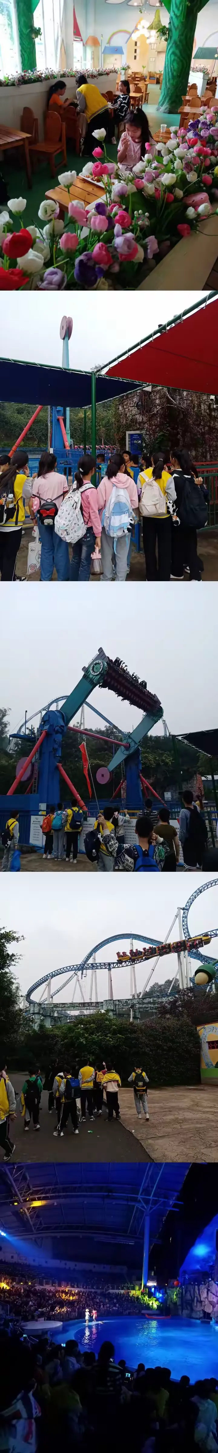 简篇-壁山大兴小学四年级1班,六年假1班乐和乐都秋游篇