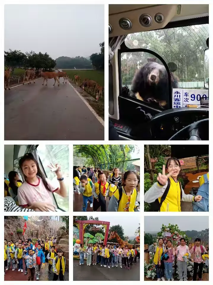 简篇-壁山大兴小学四年级1班,六年假1班乐和乐都秋游篇