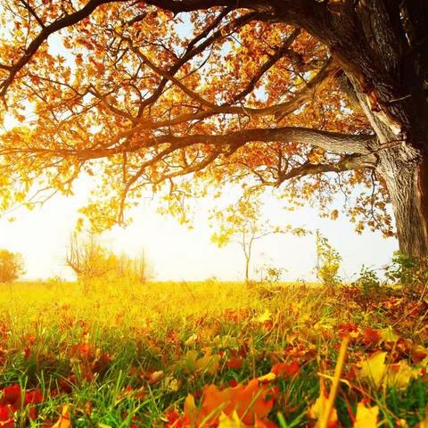 文明团结，和秋天一起远行