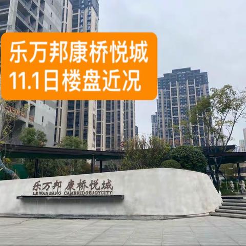 11.1日乐万邦康桥悦城实拍施工现场