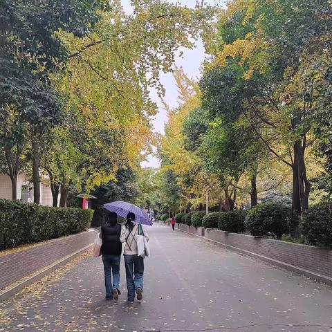 大鹏同风起，扶摇九万里 ——2023年省培兴师计划（黄石市课程领导力）培训班简报