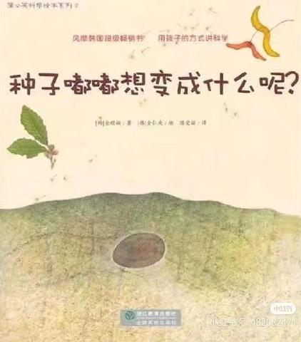 阅读里的生命教育—— 四月“启始与展望”