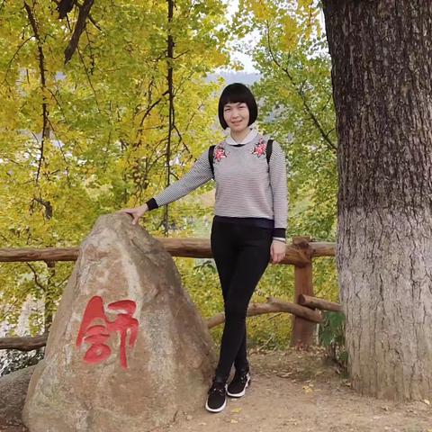 小组长，大使命