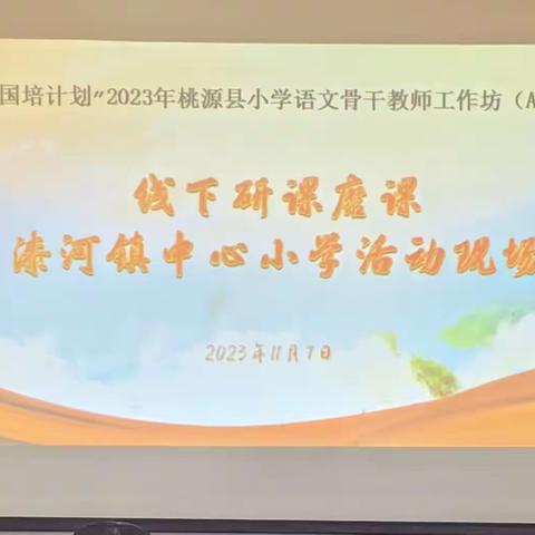 教学相长，评价先行——桃源县小学语文骨干教师工作坊三小组线下研课磨课活动