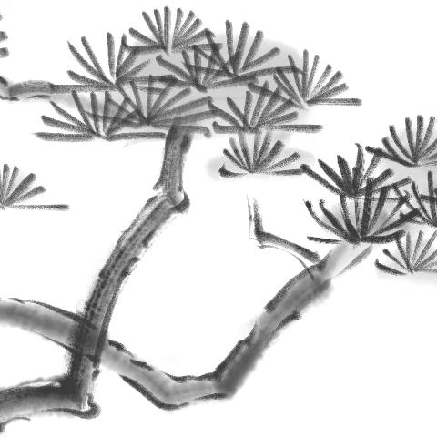 【经典诵读】河北区实验小学“少年读经典”活动成果展示