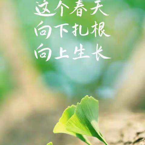 缤纷春日好 扬帆正起航一一开封市金耀小学骨干教师示范引领课