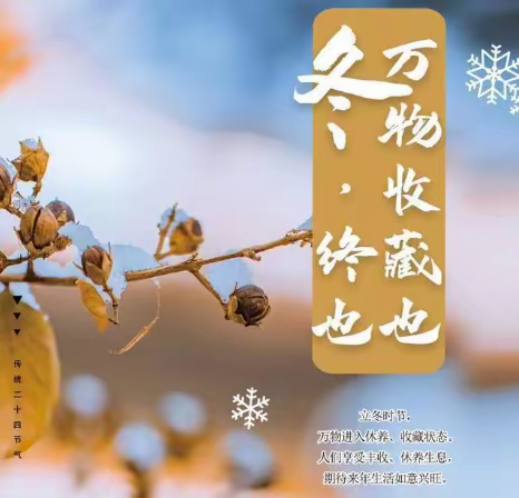 “快乐立冬      暖意浓浓"【金果 🍒幼儿园】——立冬主题教育活动