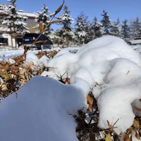 踏雪而来，温暖太平庄！——太平庄幼儿园家长爱心扫雪