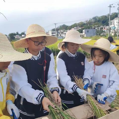 奋力自强，崛起梦想