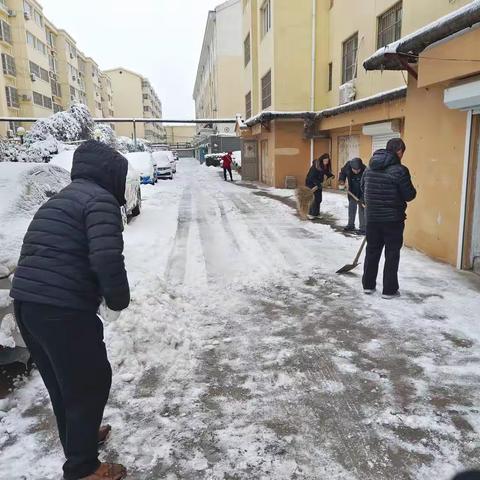 最美的不是下雪天❄️而是我们扫雪的场景。