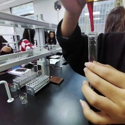 烷烃、烯烃与酸性高锰酸钾的反应实验