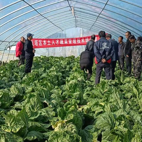 宝塔区本土人才服务站蔬菜管理技术培训第一期