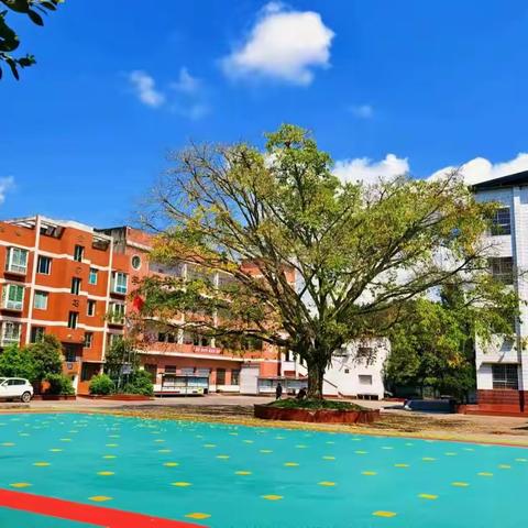 快乐寒假，安全护航 ——渠县望江乡中心学校寒假安全提示