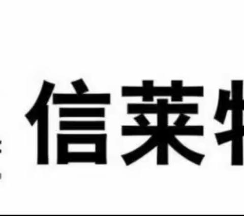 青岛东部新天地售楼处周工作汇报