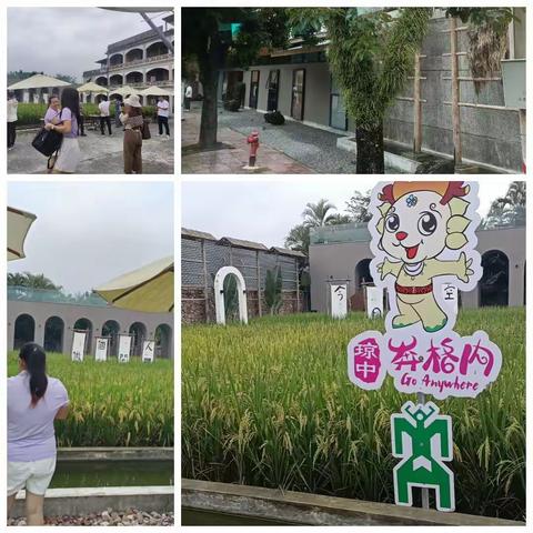 新竹镇卜优村赴琼中红毛镇和屯昌新兴镇沙田村开展乡村振兴调研学习活动