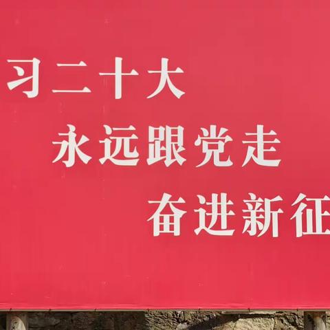 “迎七一   开山岛”主题党日