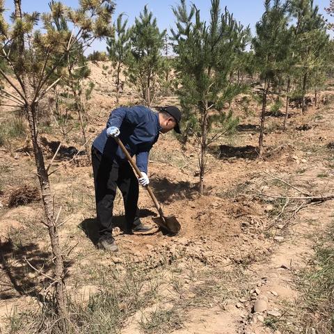 植此青绿，不负好时光