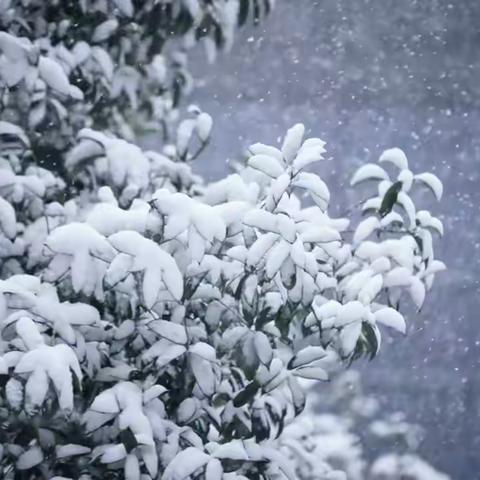 “飞雪靓校园 除雪暖人间”—其塔木中心小学开展清雪工作