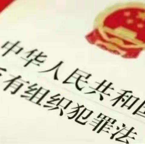 丰阳镇白石完小幼儿园《反有组织犯罪法》普法宣传