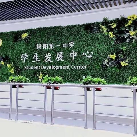 研修引领促提升 互学交流谋发展