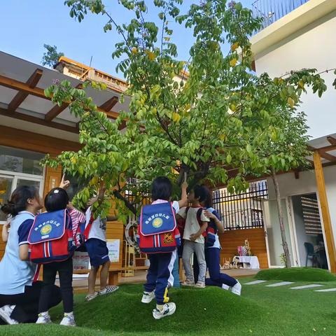 深圳市龙岗区龙岗街道南联第四幼儿园———喜气“杨杨”