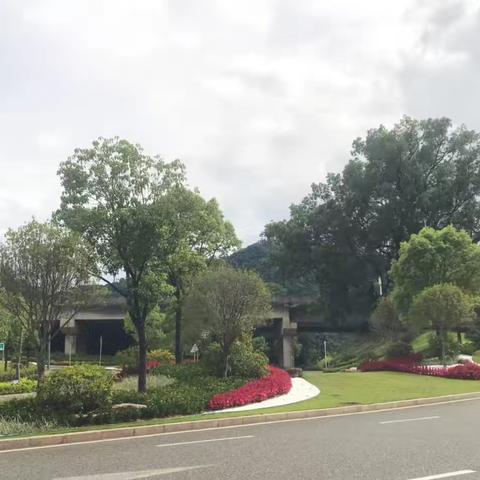 南高速连接线绿化焕新升级   绘制生态绿廊多彩迎宾