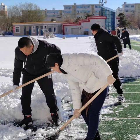 闻雪而动 情暖校园