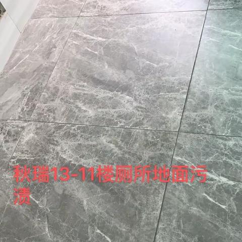 秋瑞周检问题汇总，请客服部、工程部及时跟进处理！