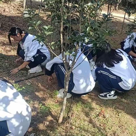 劳动润心促成长，实践赋能向未来腾冲第一职业高级中学劳动实践活动纪实