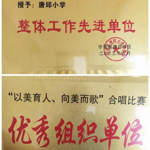 双向奔赴，共育未来！-唐邱小学家长开放日