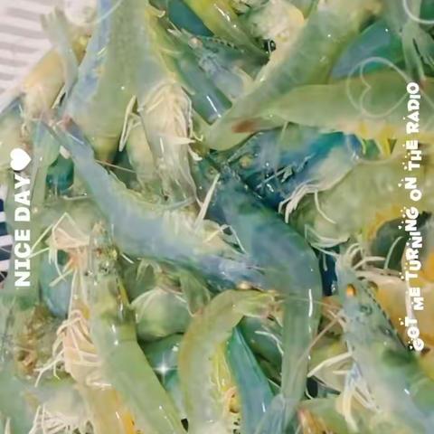 ✨我们没有理由不可爱🎈               愿时光能缓🍃愿你赤诚善💥