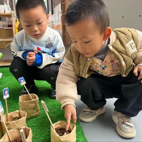 我的植物🌳在成长