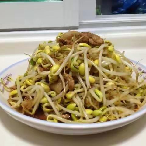 “豆芽”成长记录过程