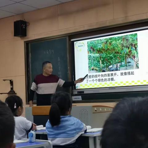 课堂风彩绽放，教研再促成长——黄河学区学校“半天无课日”大教研活动