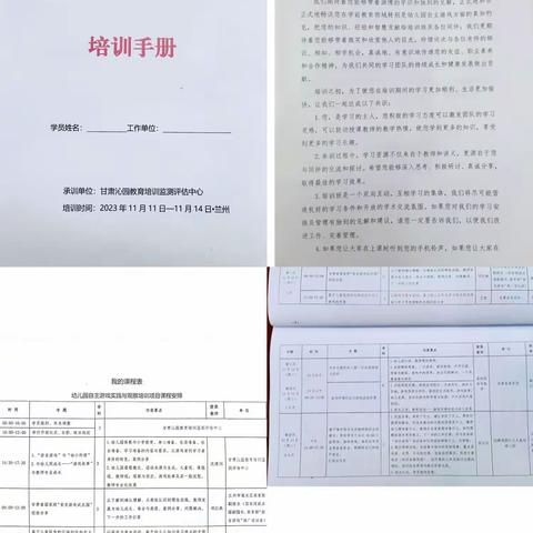 凝心聚力 逐梦前行                        —幼儿园自主游戏实践与观察培训项目