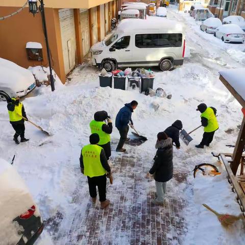 以雪为令，志愿同行