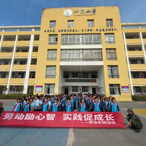 以“劳”树德，以“劳”育美——彭高镇丰泉小学师生劳动实践活动