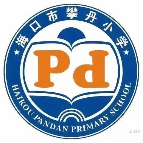 海口市琼山攀丹小学语文教师教学述评报告