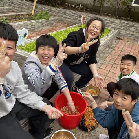 【云兴小学】捡银杏记