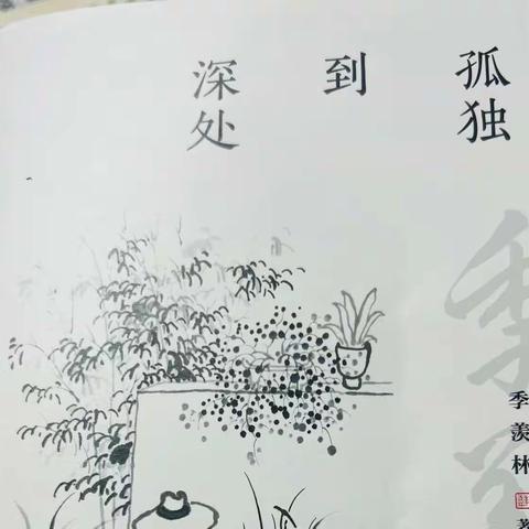 周老师的美篇