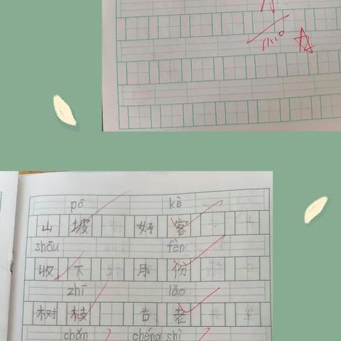 同向同心同行——陶冲小学二（3）班家长会