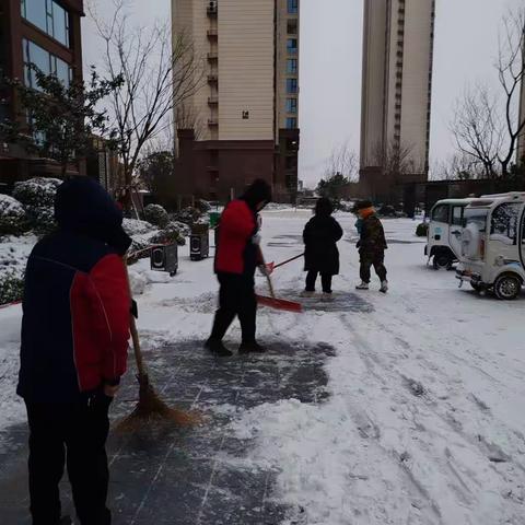 南环社区开展“扫雪除冰护安全 人居环境大整治”活动